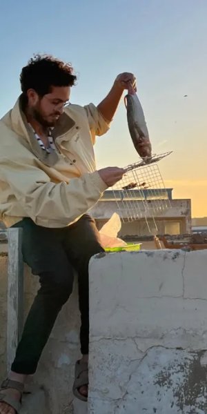 Einkaufen auf dem lokalen Markt in Essaouira, um Noqta Space einzurichten
