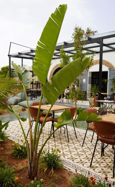 Open coworking workspace at Noqta Space in Essaouira